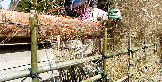 ���ăp�����Ă��Ă݂��B