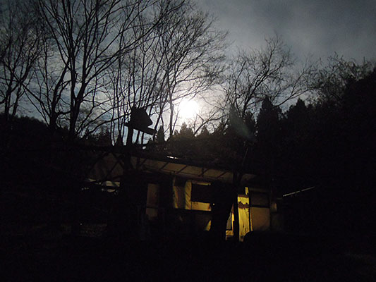 �����̖�