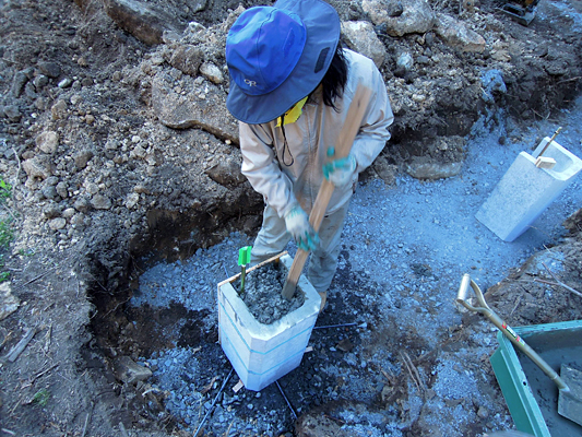 �R���N�����