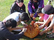 �q�m�L�̔�ŁE�E�E