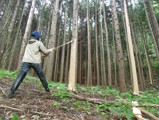 �Ђ�������
