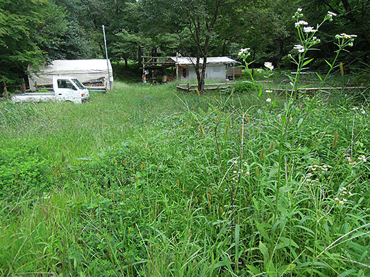 ���������΂�͂���߃����h