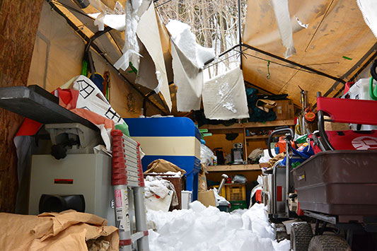 �q�Ƀe���g�P