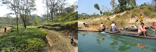 �e�B�[�K�[�f����