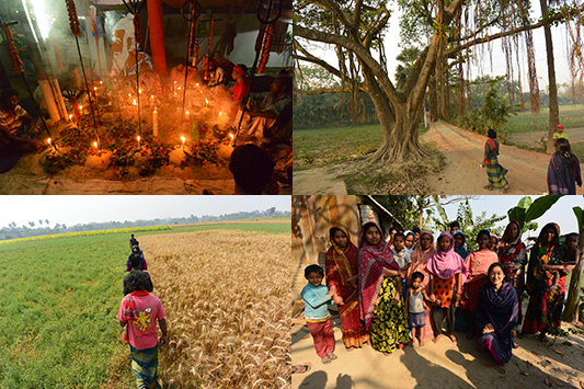 �N�V���e�B�A