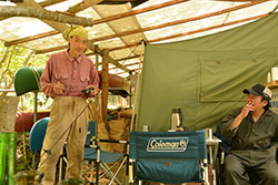 �䂤�������