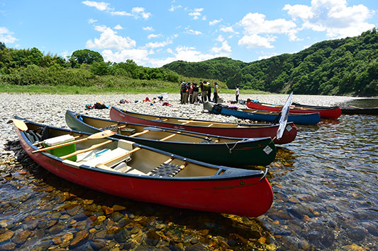 ���̓J�k�[�𑆂�