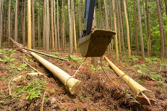 �R����؂��^�яo�����