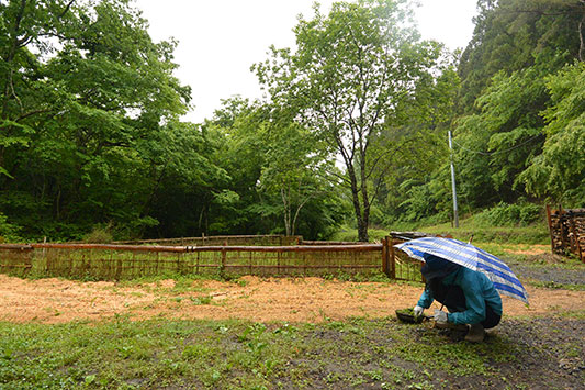 ���ނ���