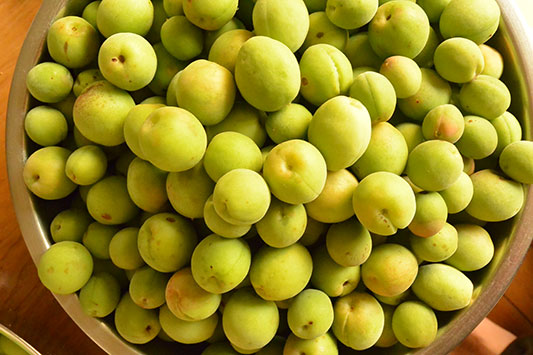 ���ނ���