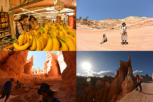 �u���C�X�L���j�I���ɂ�