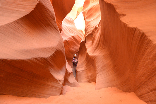 �A���e���[�v�L���j�I���ɂ�