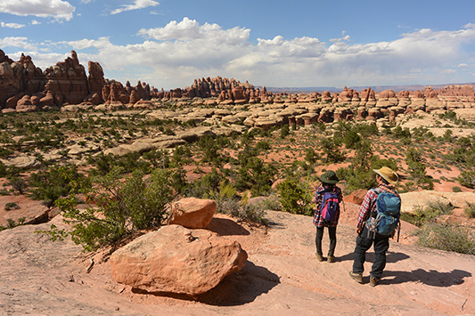 �L���j���������Y�ɂ�