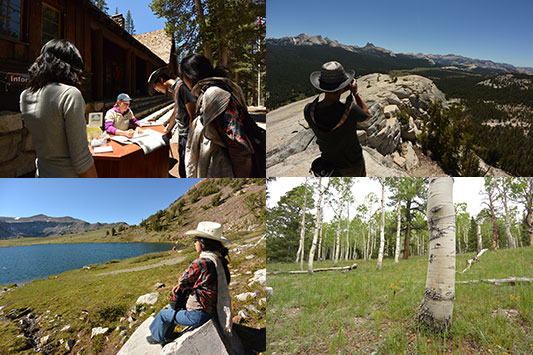 ���Z�~�e�ɂ�