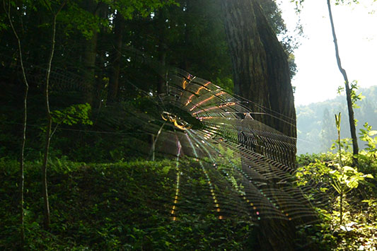 ���Ԃ��͂�������