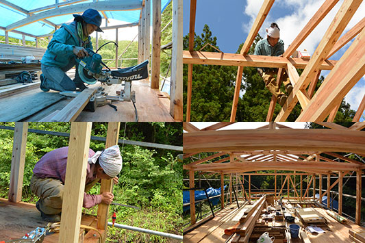 �͂���߃����h�@���z��Ƃ̗l�q