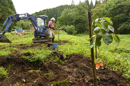 �ʎ���A����