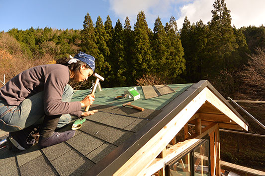 ��������̗l�q