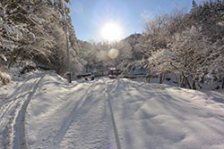 ��̃����h