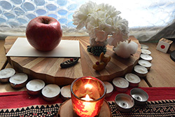 �V�g���}����