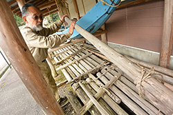 ���g����Ɣ�