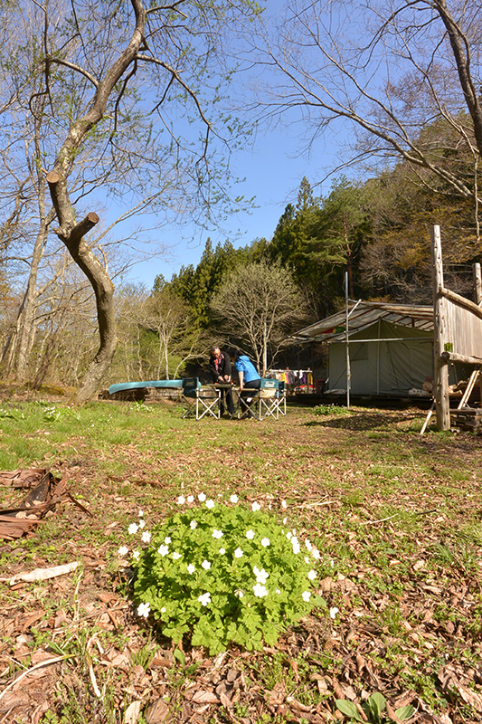 ���O�ł��H��