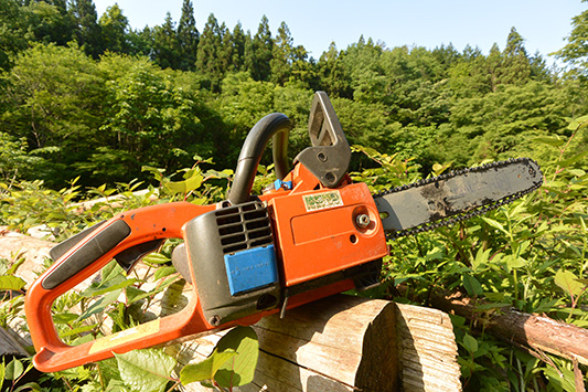 �n�X�N�o�[�i