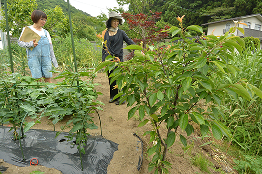 �����ɐA���������u�~�i�R�����v�̌���