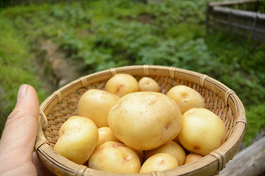 ���Ⴊ����
      