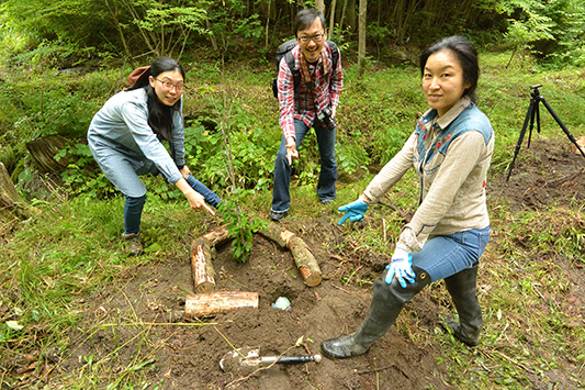 �^�C���J�v�Z��