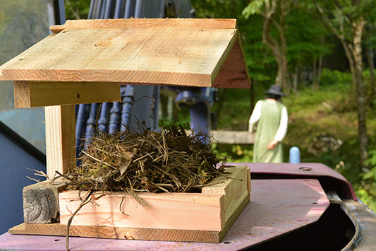 ���̑��ړ�