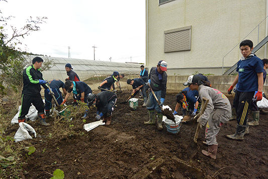 �{�����e�B�A�̗�