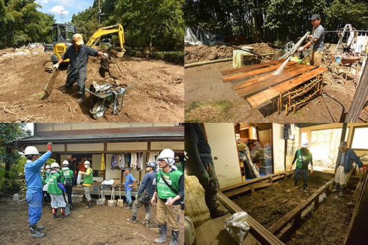 �{�����e�B�A�̗�