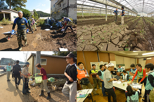 �{�����e�B�A�̗�