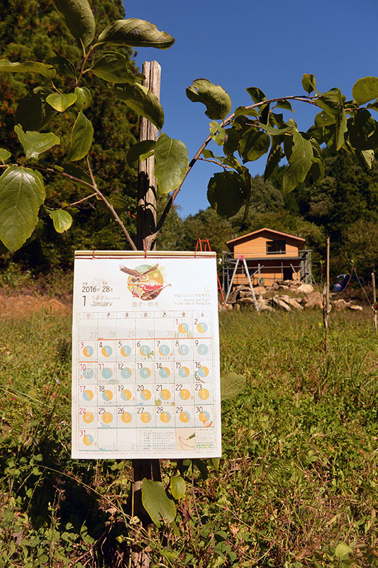 �J�����_�[����