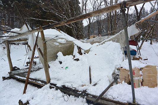 �ׂꂽ�^�[�v