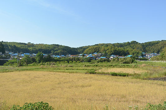 �u���[�V�[�g�̕��i