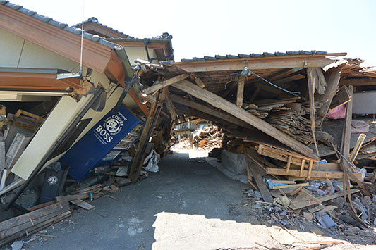 ����n��̗l�q