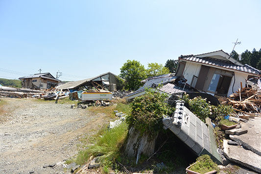 ����n��̗l�q