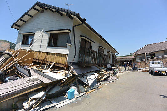 ����n��̗l�q