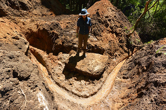 �搅���t��