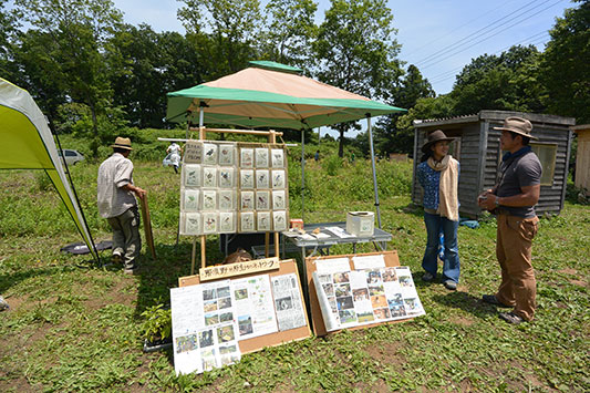 ������}���V�F