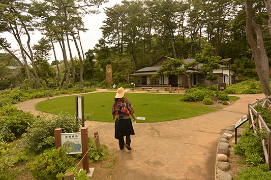 ���q�V�S�̉�