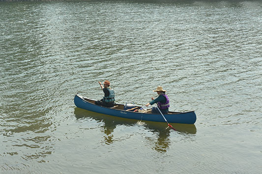 ������킹�����𑾓c���