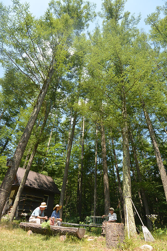 �c������A�F�����