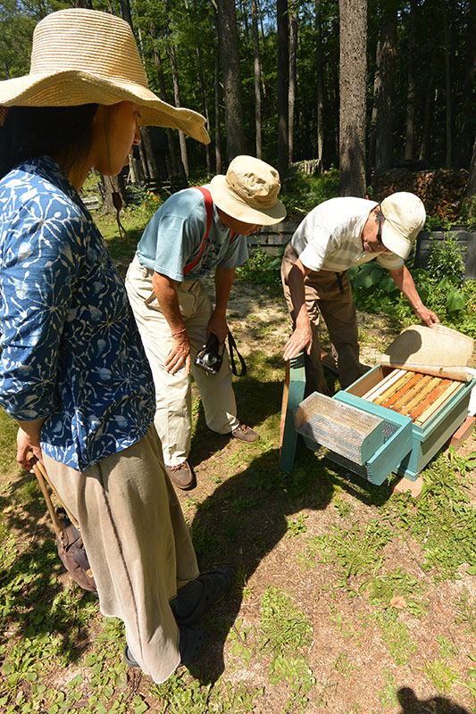 �c������̎����~�c�o�`