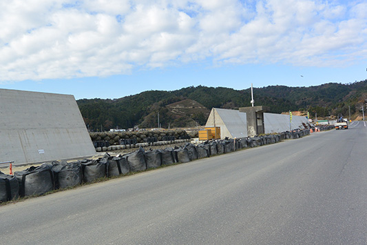 ���ݒ��̖h�g��̕��i