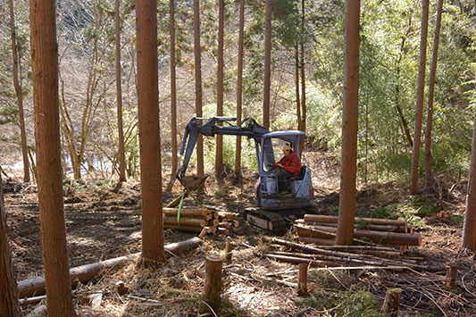 �R�̎����