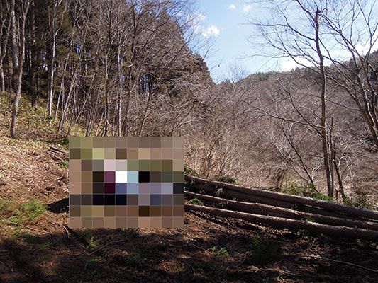 �a�����̏�