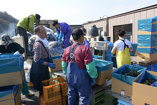 �������J���̔��l�ߍ�ƃ{�����e�B�A